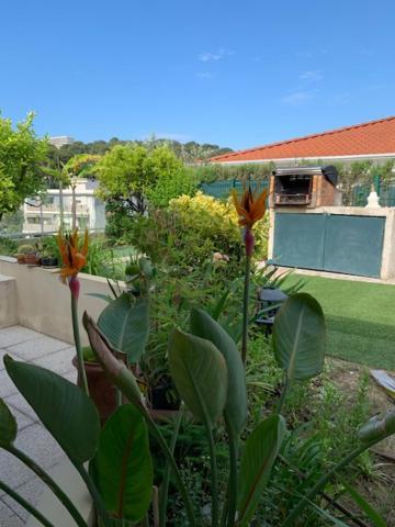 קאן סור מר Jardin D'Azur Proche Mer מראה חיצוני תמונה